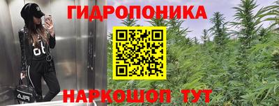 кокс Ливны