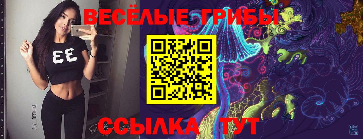 Псилоцибиновые грибы Psilocybine cubensis Владимир
